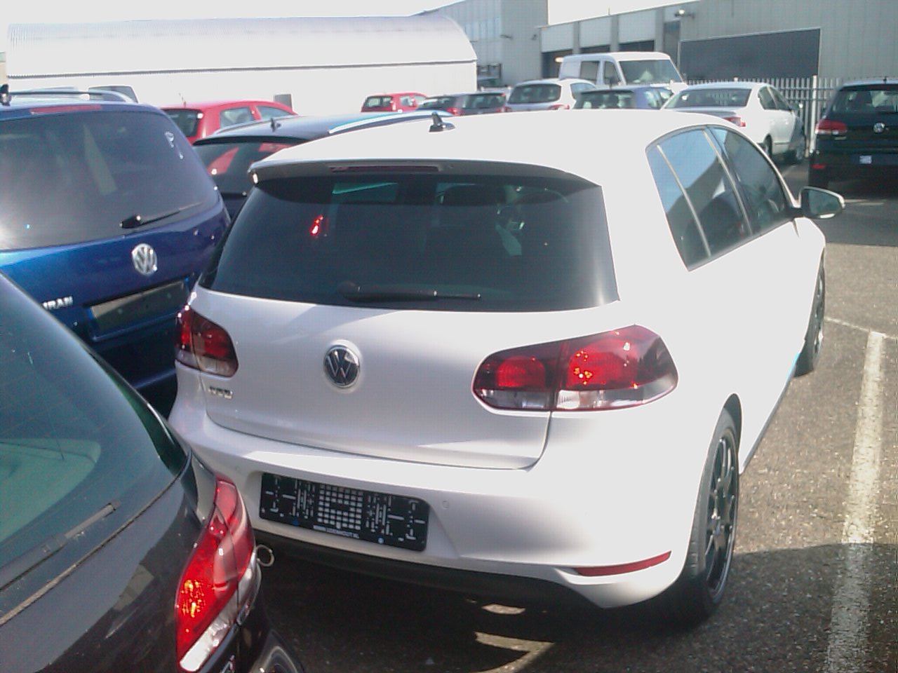 IMAG0306.jpg