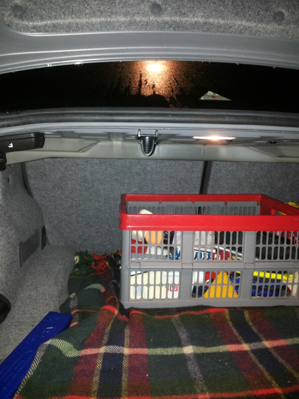 Trunk.jpg