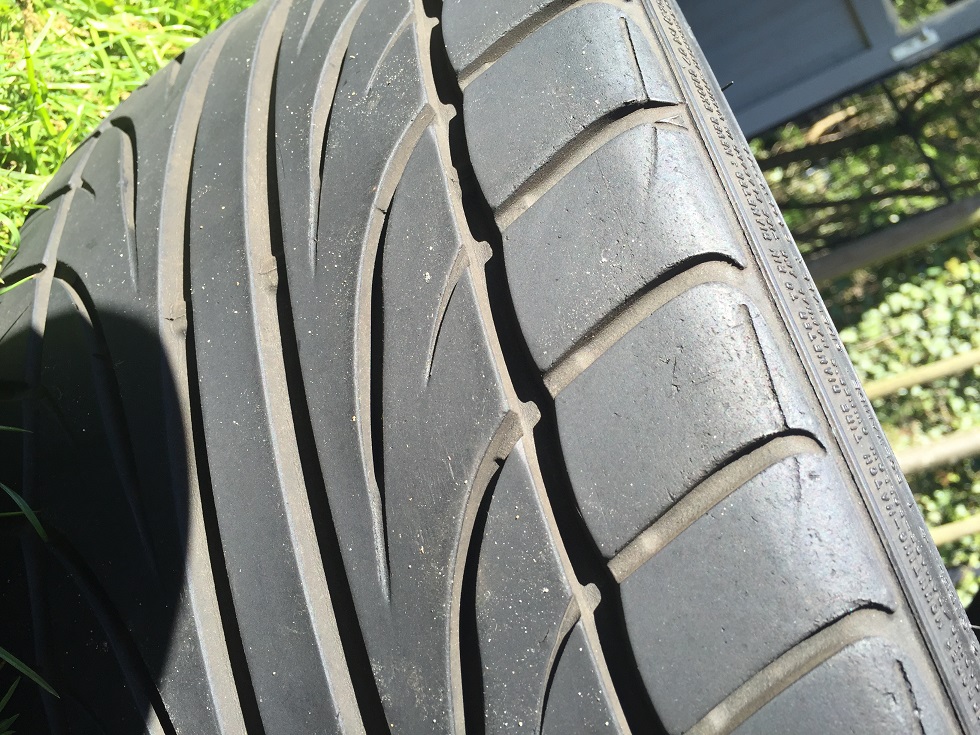 Falken_02.jpg