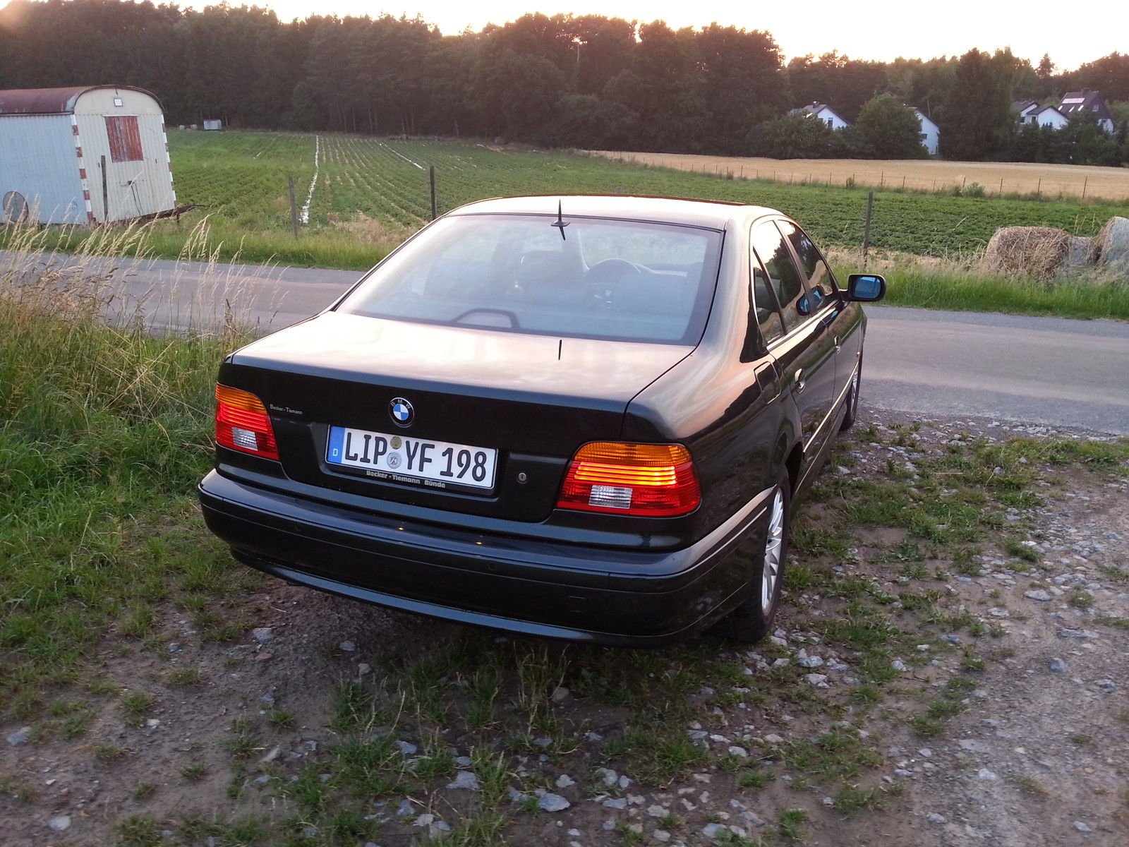 BMW 530i.4.jpg