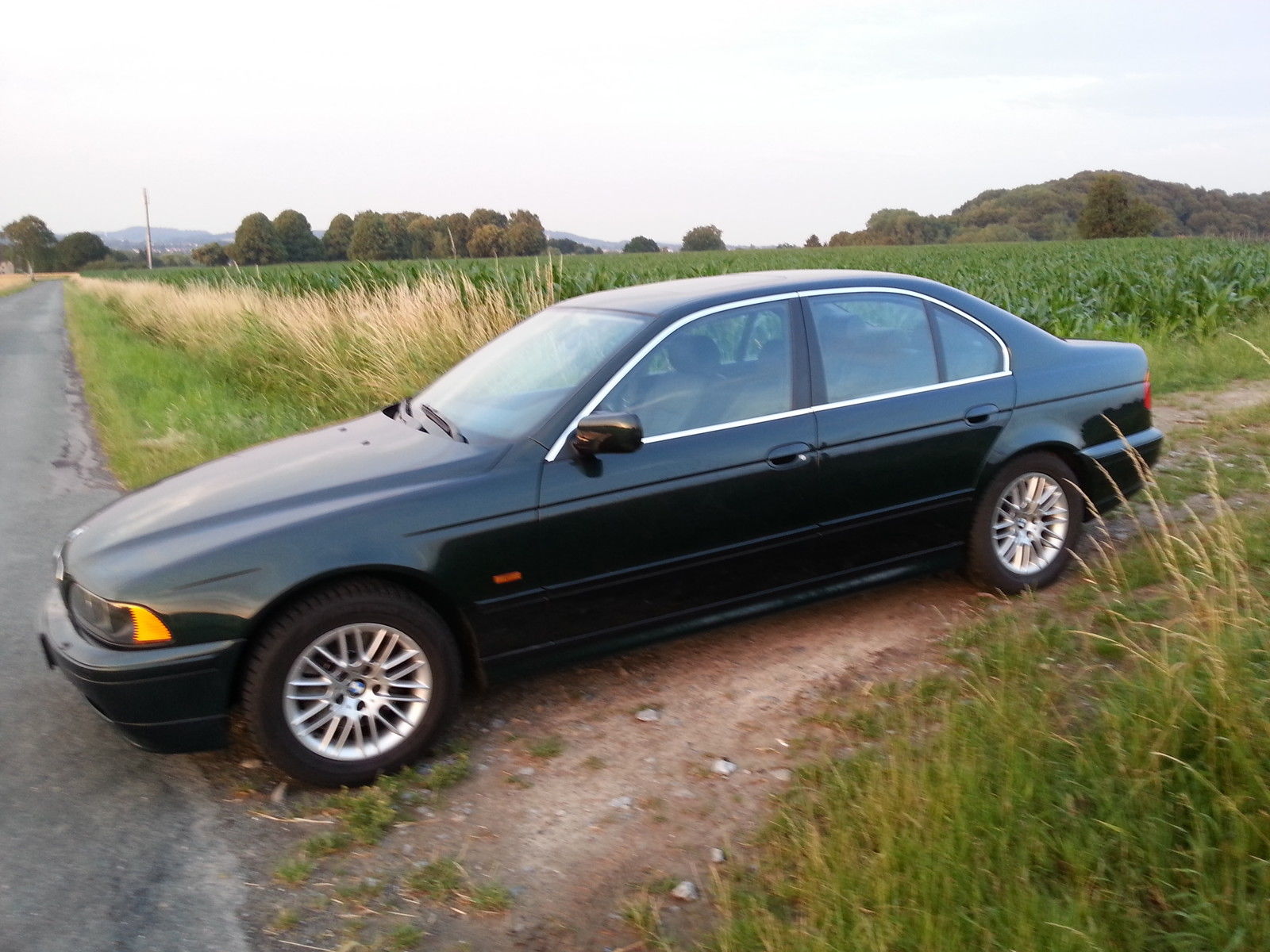 BMW 530i.5.jpg