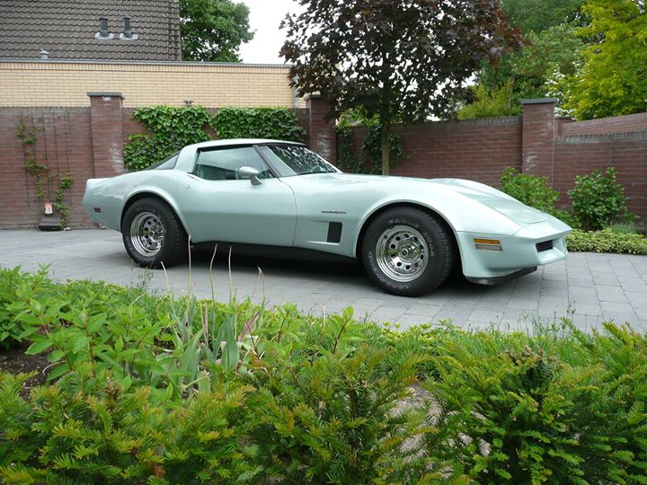 vette1.jpg