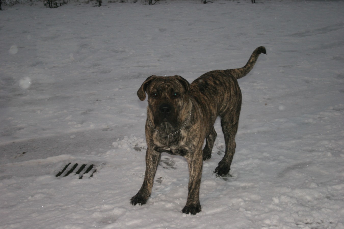 002 [Desktop Resolutie].JPG