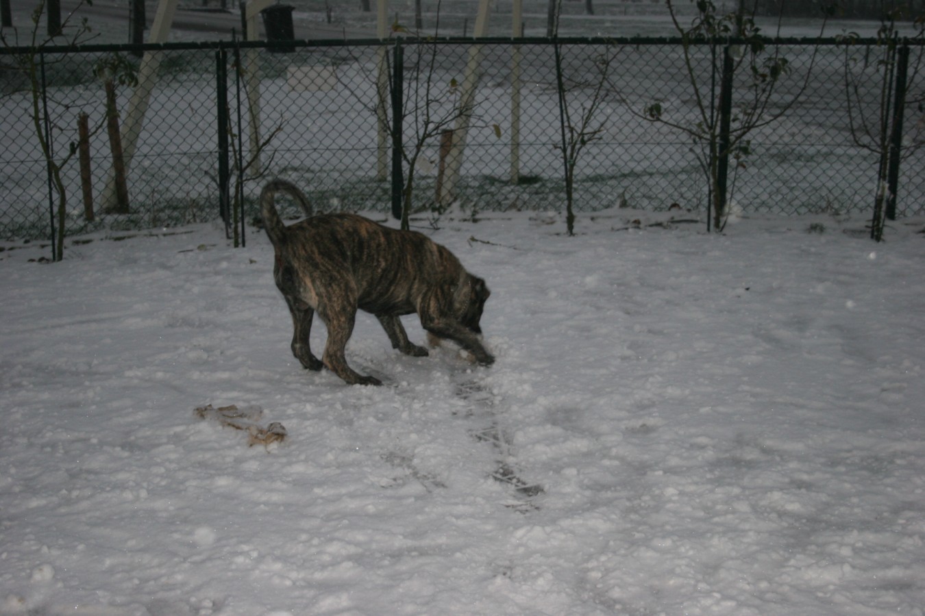 003 [Desktop Resolutie].JPG