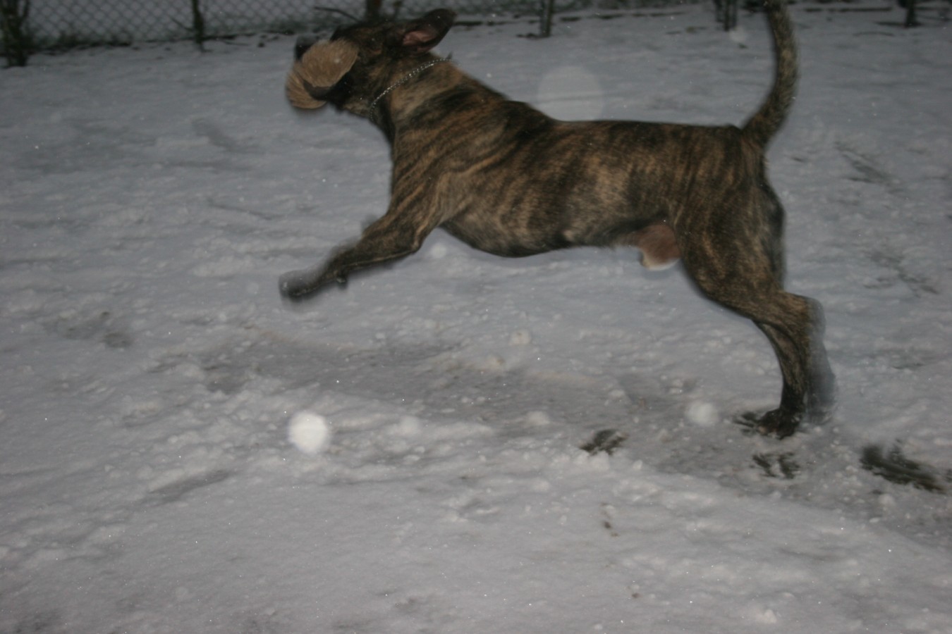 005 [Desktop Resolutie].JPG