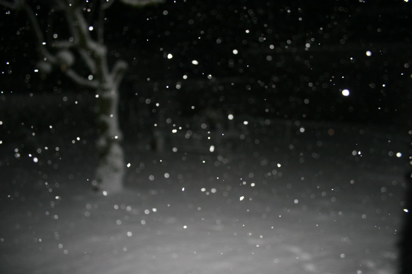 006 [Desktop Resolutie].JPG