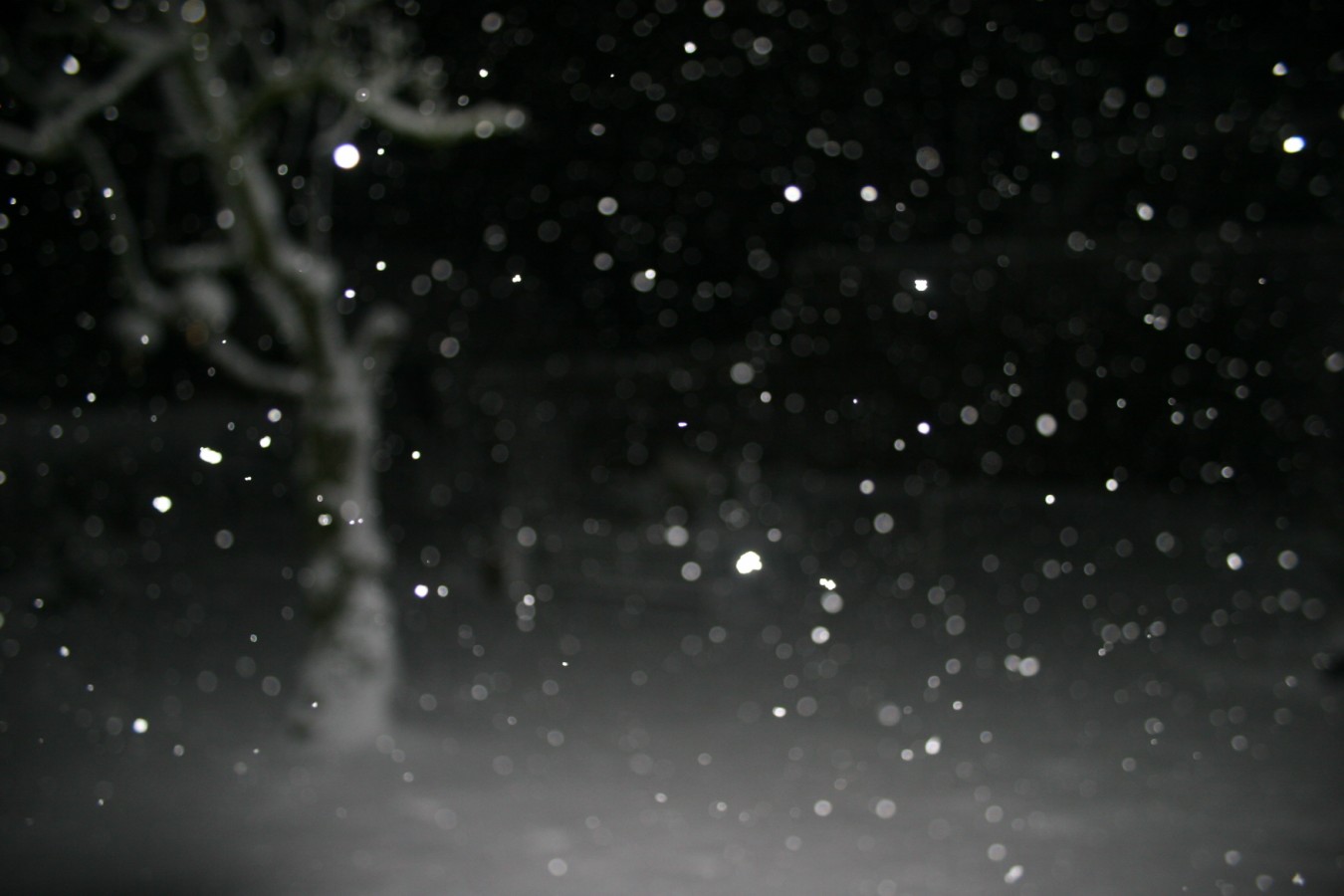 007 [Desktop Resolutie].JPG