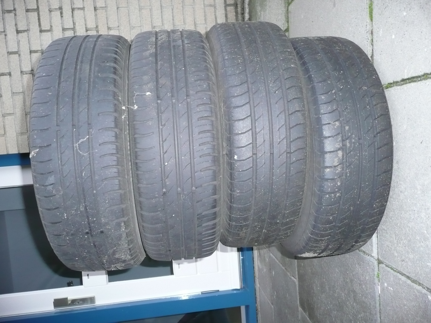 P1100579.JPG