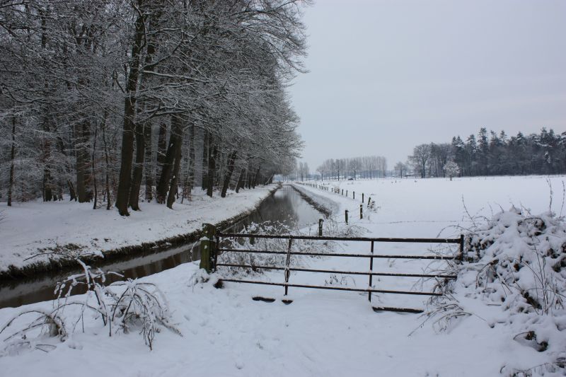 sneeuw4.jpg