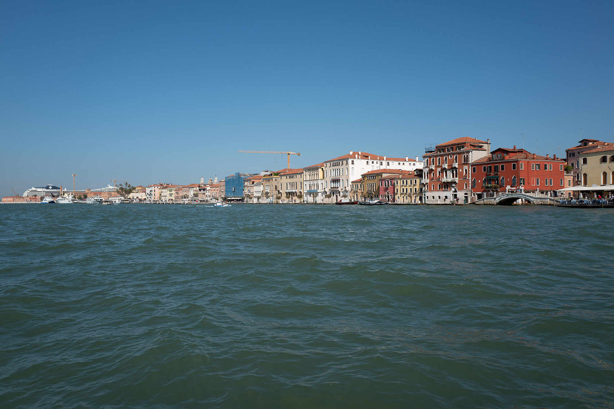 L1010164.jpg