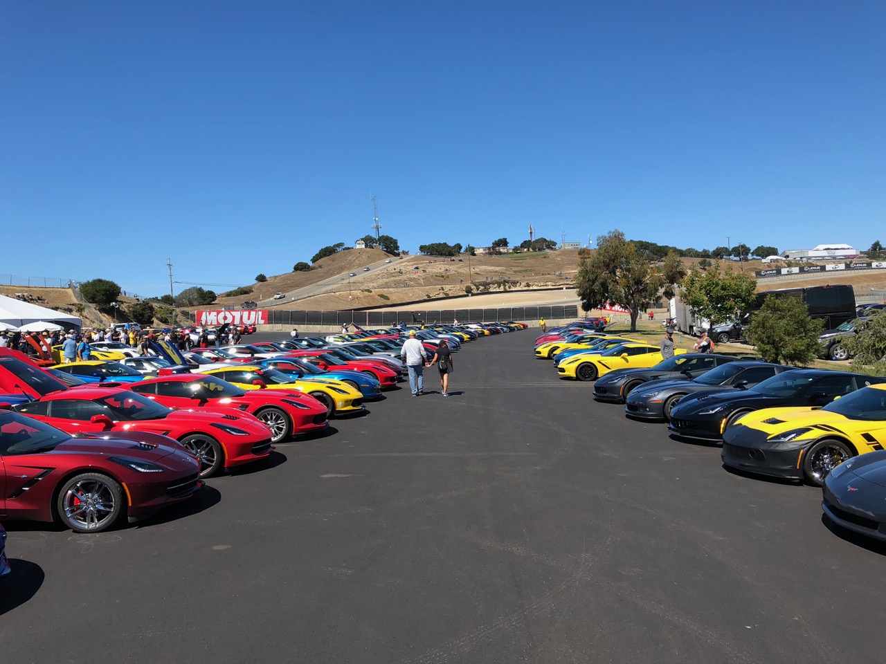 100+ Corvette's