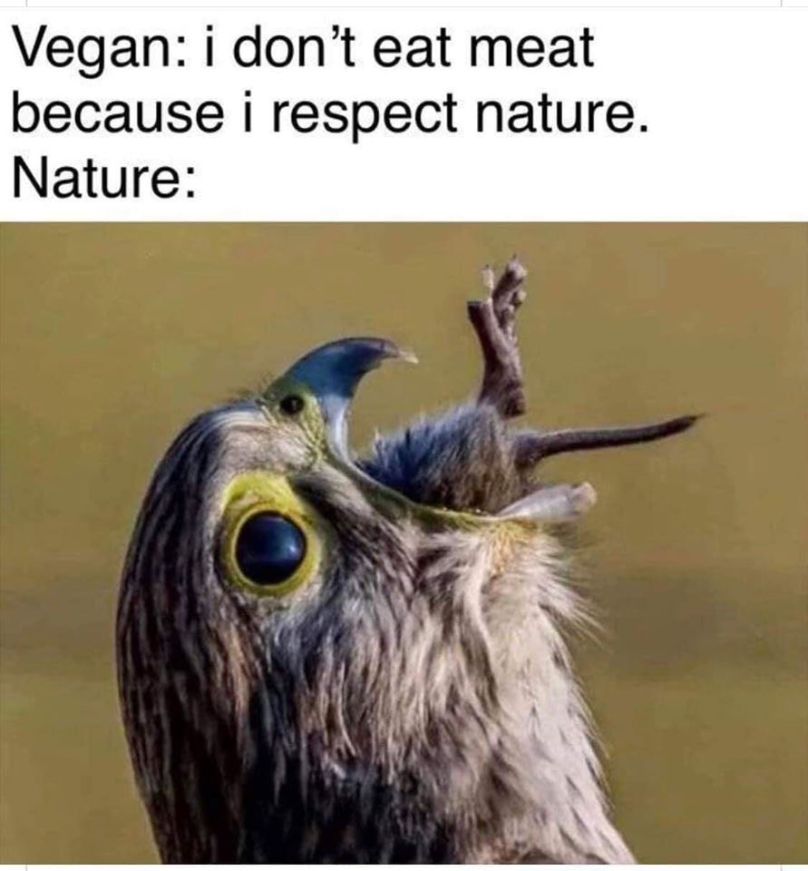 vegan.jpg