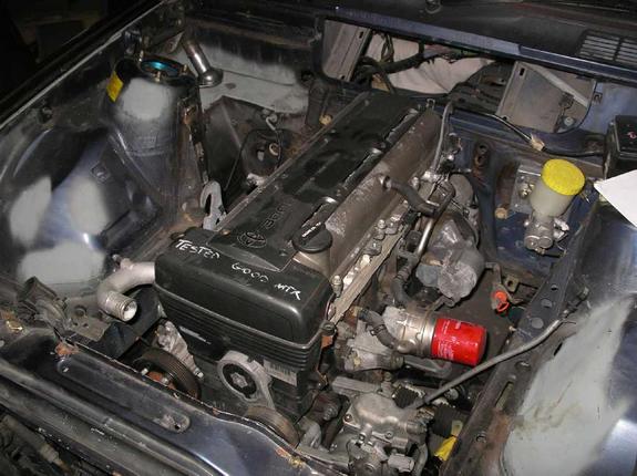 7206510001_large.jpg