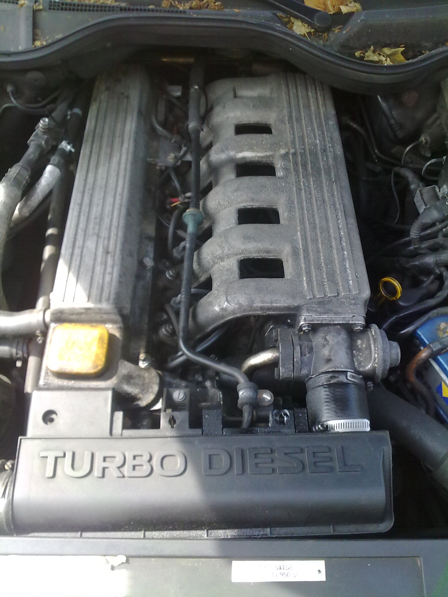 01072010119.jpg