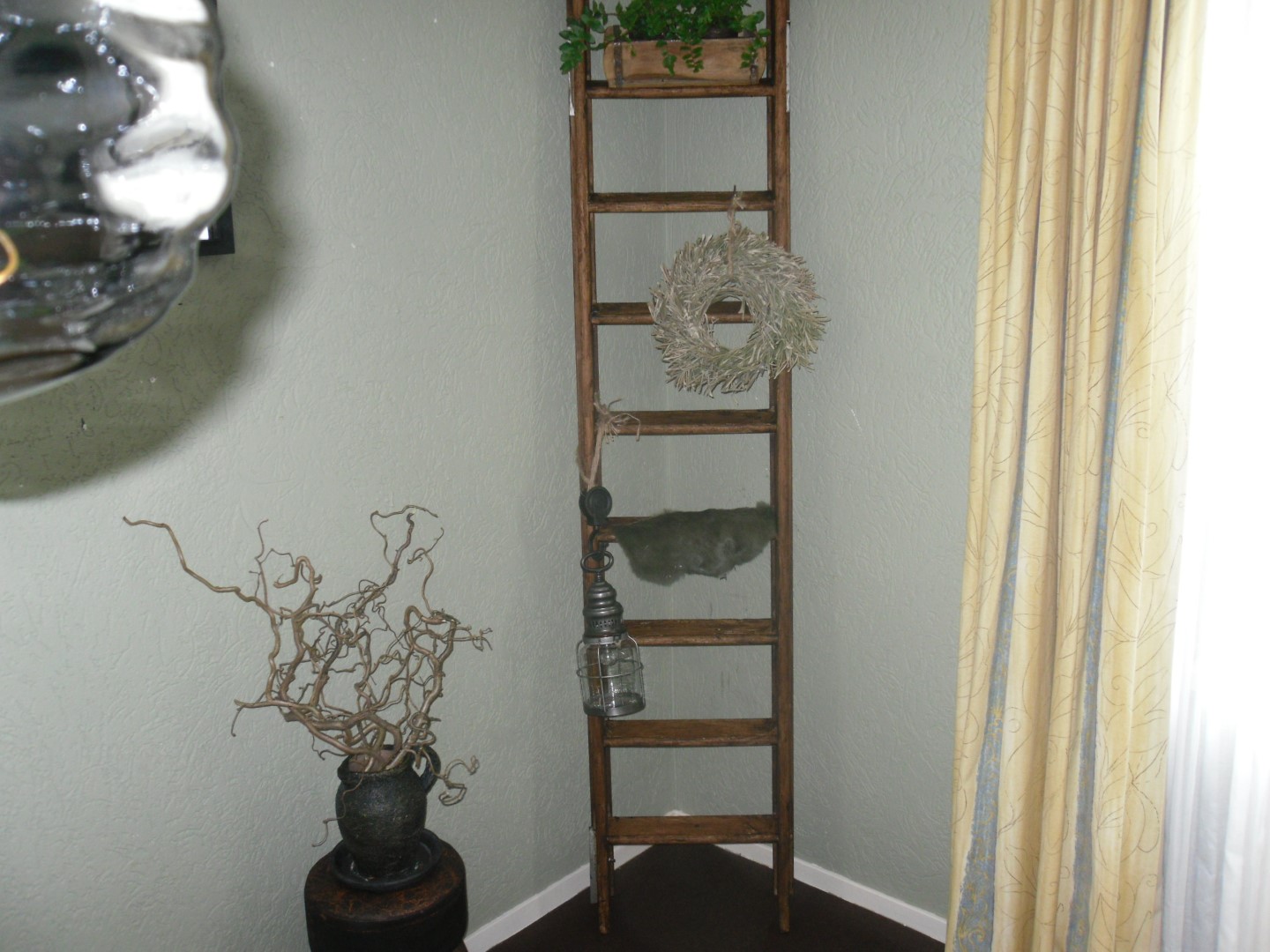 SDC10001 (Groot).JPG