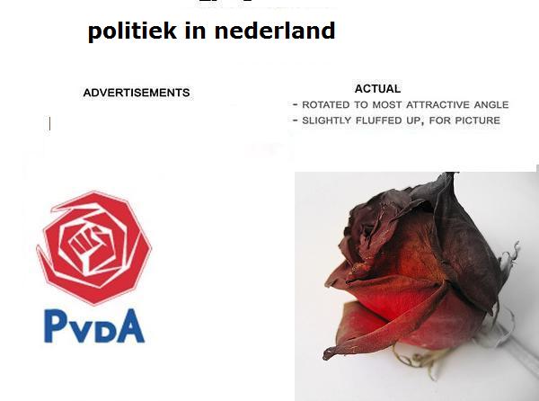 politiek.jpg