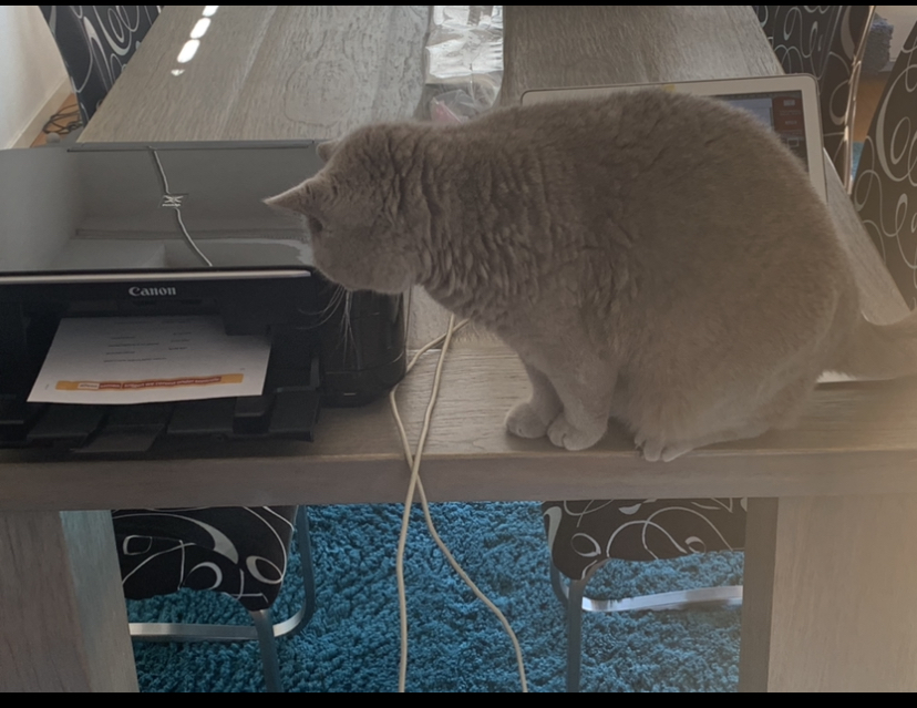 12509255-73B9-413E-B0CC-2EFE96928FA6.jpeg