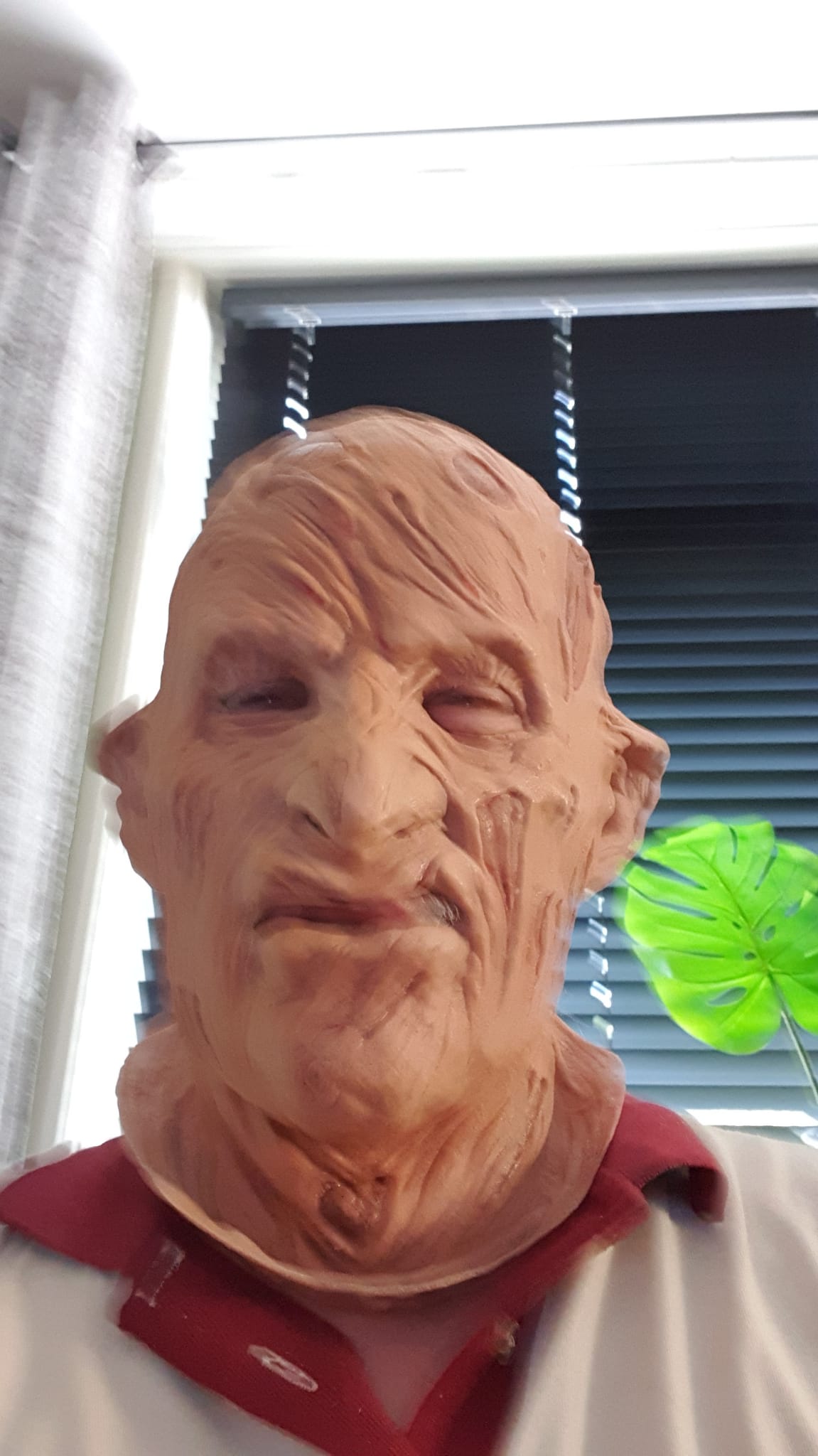 freddy.jpeg