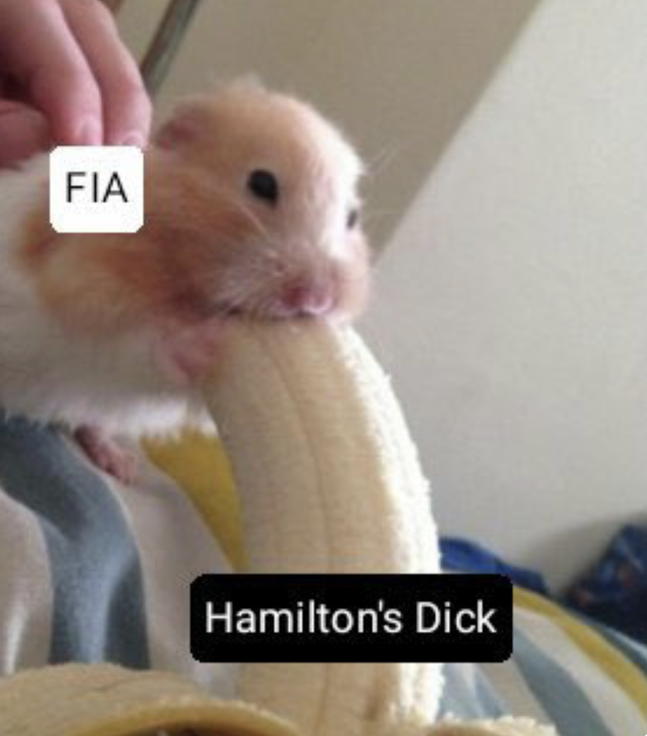 E5D35EE8-92DF-4959-A195-335C50518EC6.jpeg