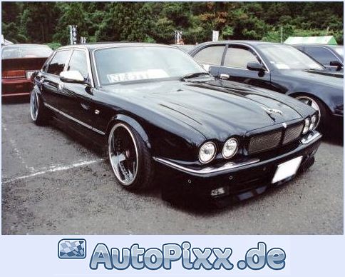 jaguar.jpg