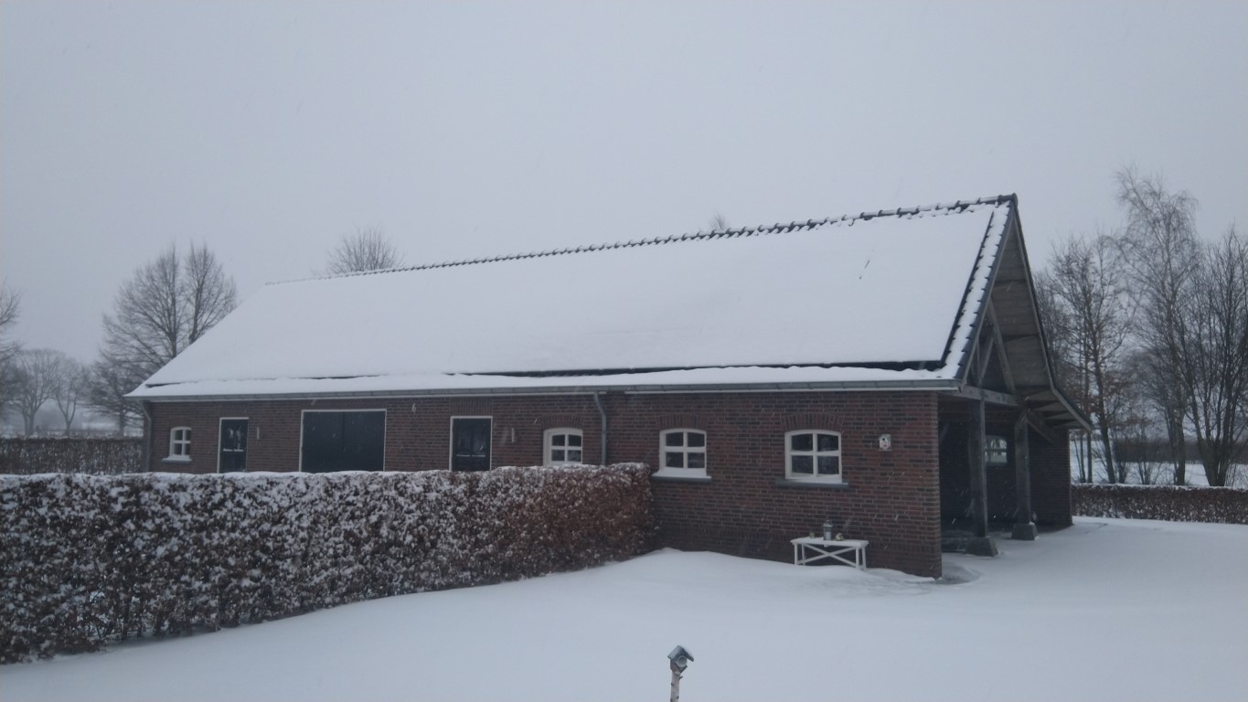 sneeuw.jpg