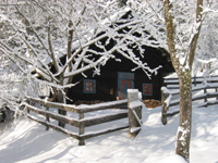 winterbild2.jpg