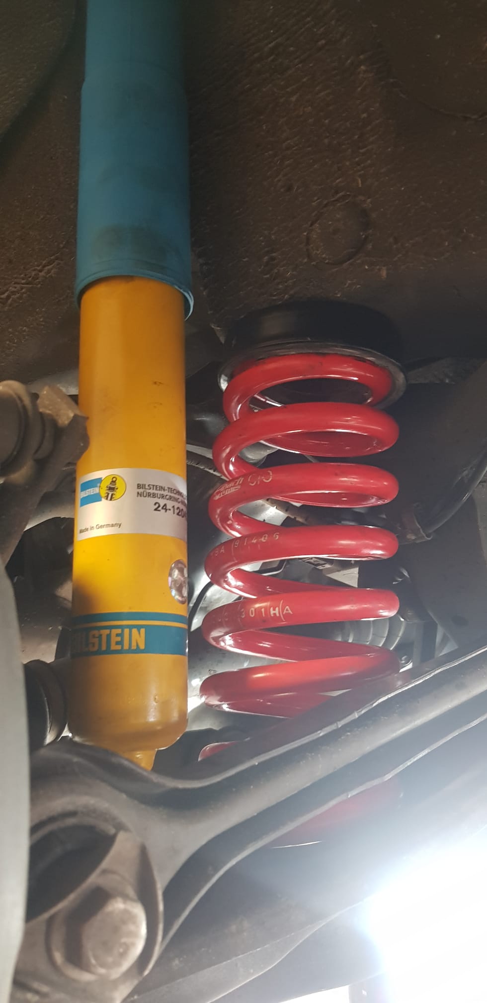 bilstein 5.jpeg