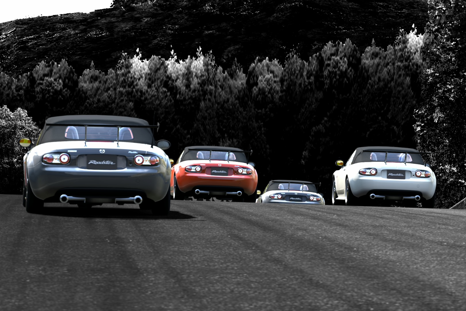 Trial Mountain Circuit_11.jpg