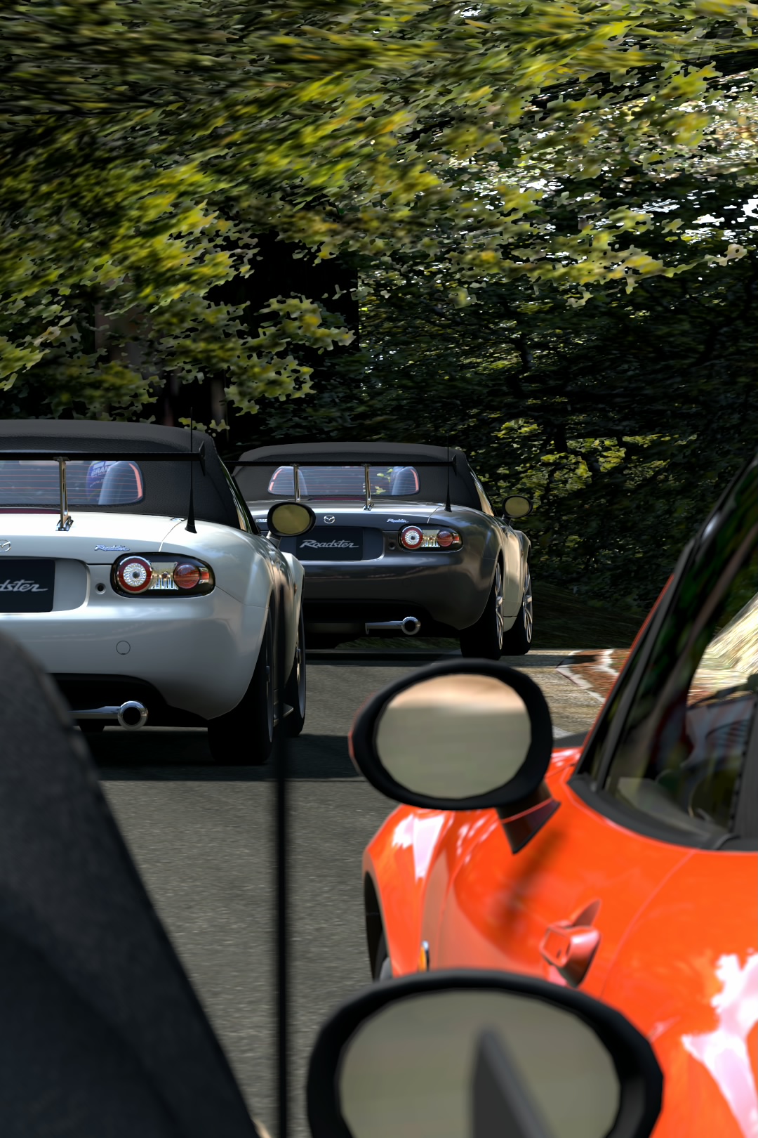 Trial Mountain Circuit_12.jpg