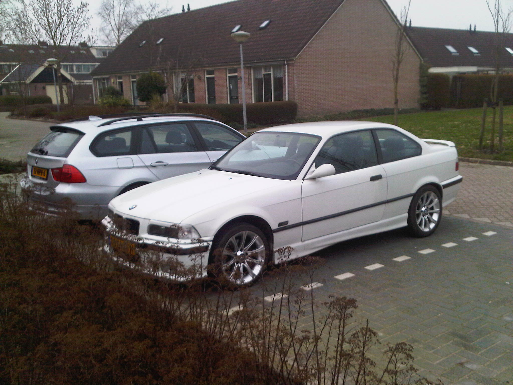 IMG-20110219-00004.jpg