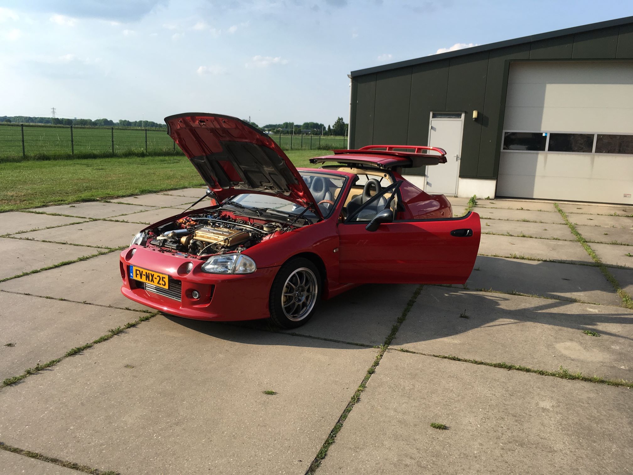 Del Sol DF ad 4.jpg