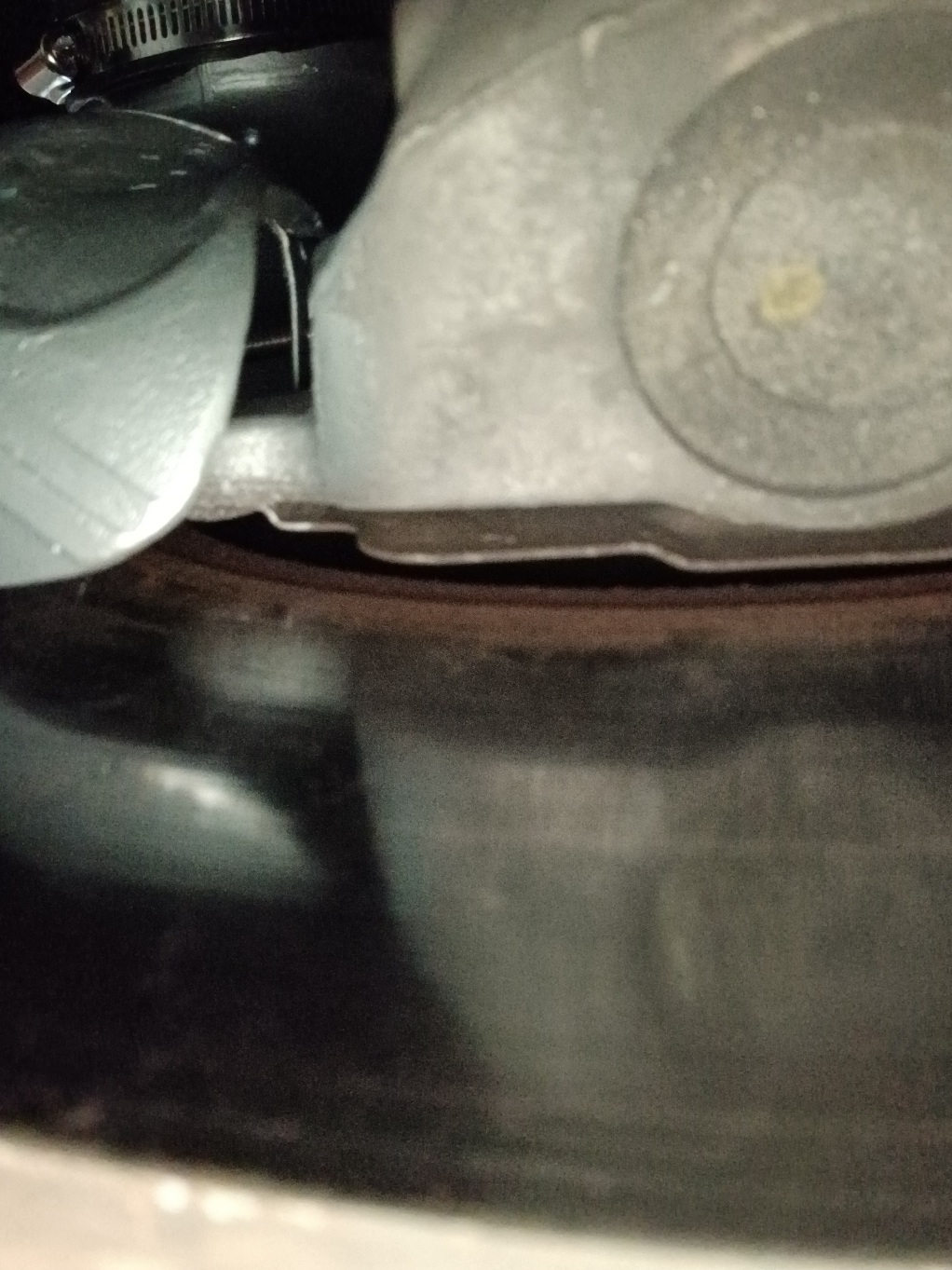 20240925_092640.jpg