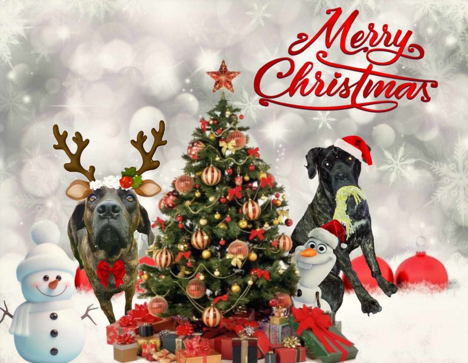 flinonyxkerst.jpg