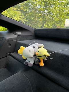 IMG_0202.jpeg