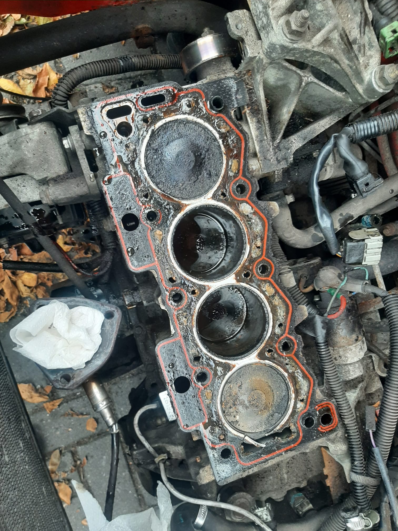 WhatsApp Image 2025-09-18 at 13.29.31.jpeg