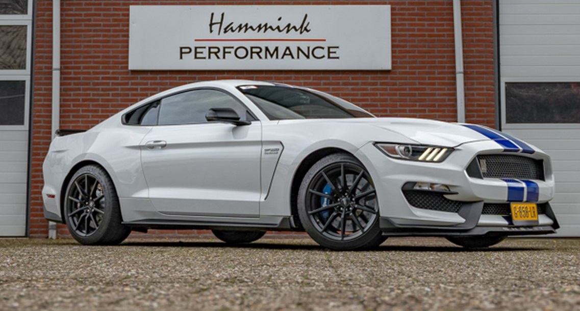 Shelby GT350.jpg