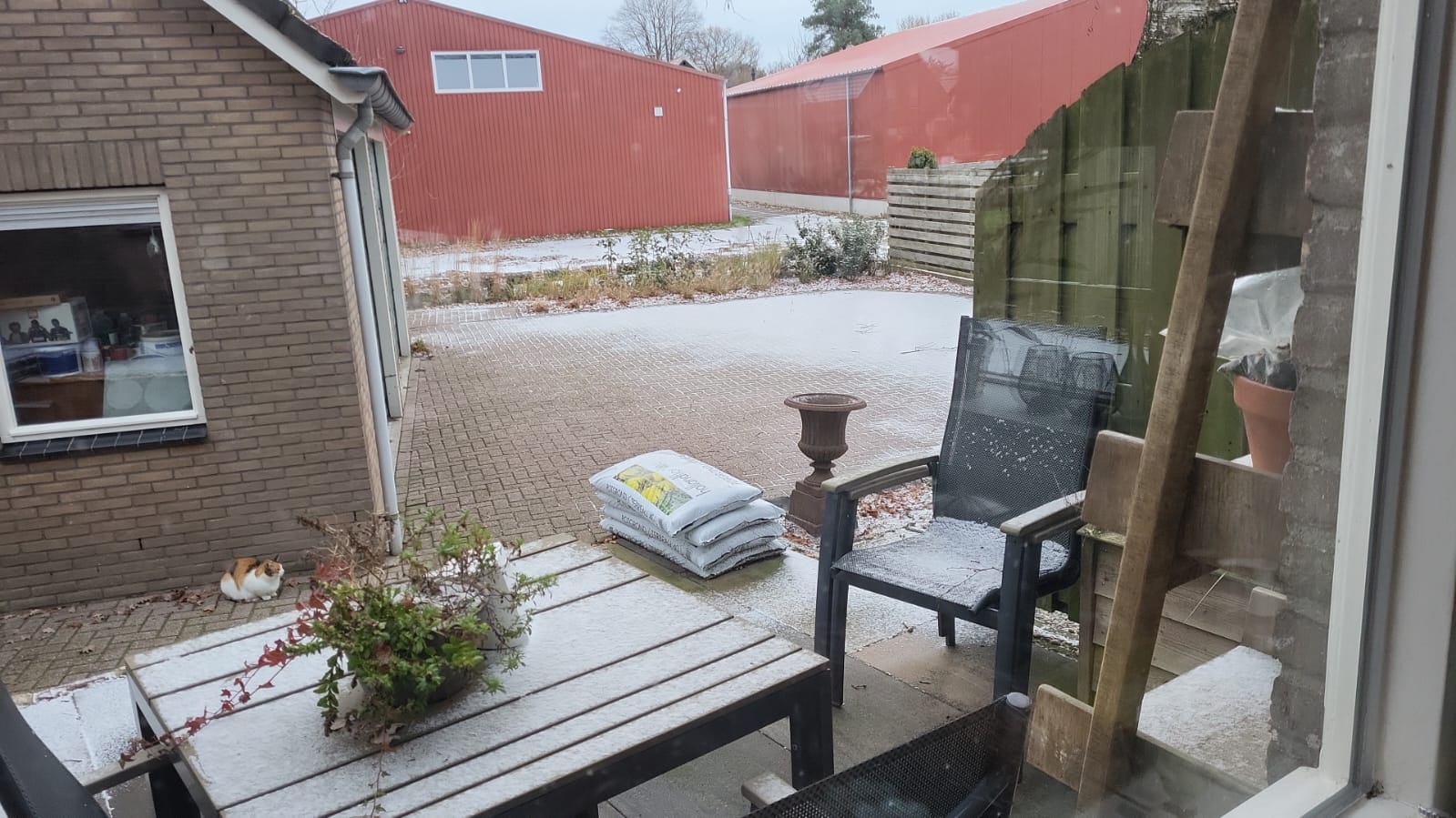 WhatsApp Image 2025-11-23 at 09.10.57.jpeg