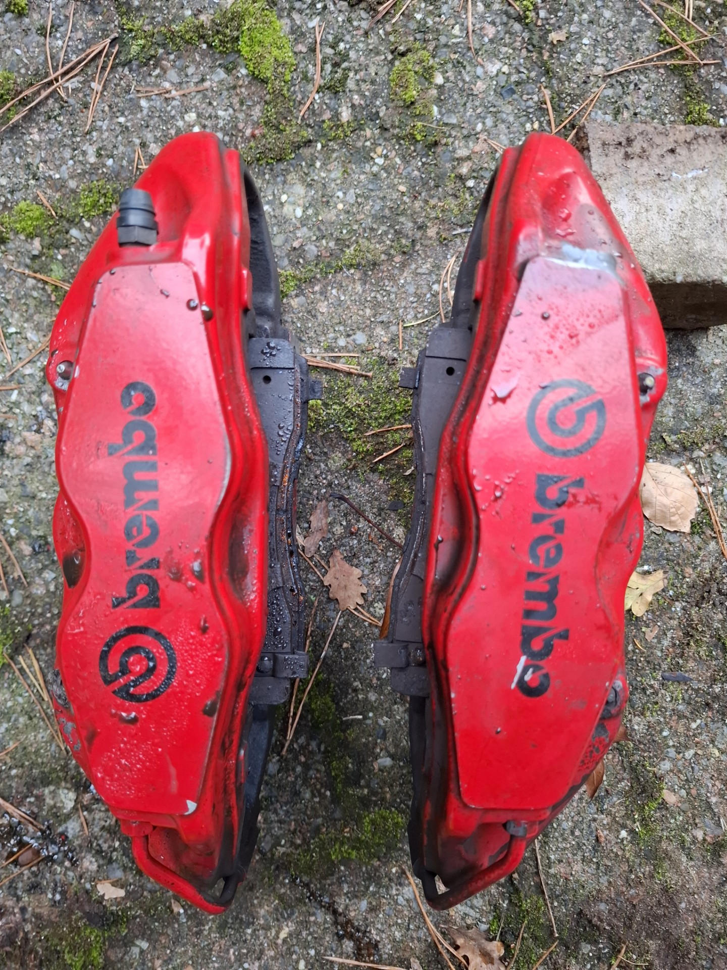 thumbnail_1000042357 (1).jpg