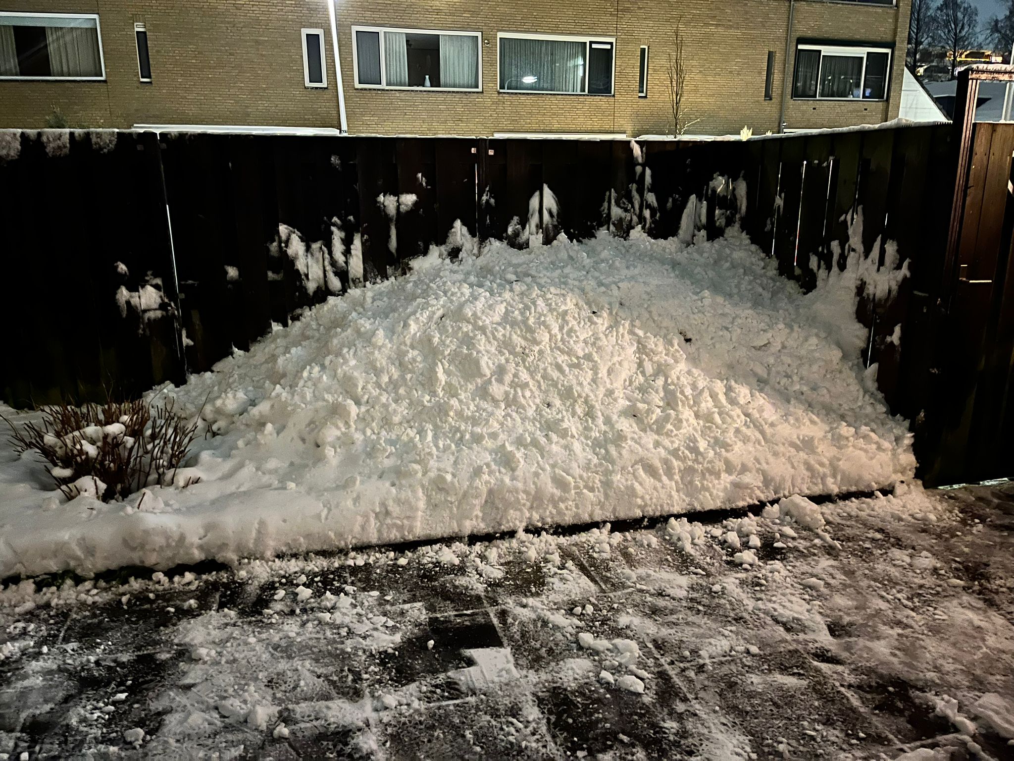 WhatsApp Image 2026-01-07 at 19.50.53.jpeg