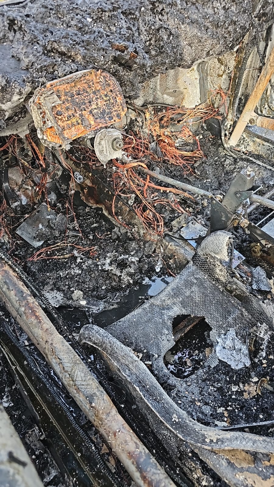 WhatsApp Image 2026-03-06 at 15.54.56.jpeg