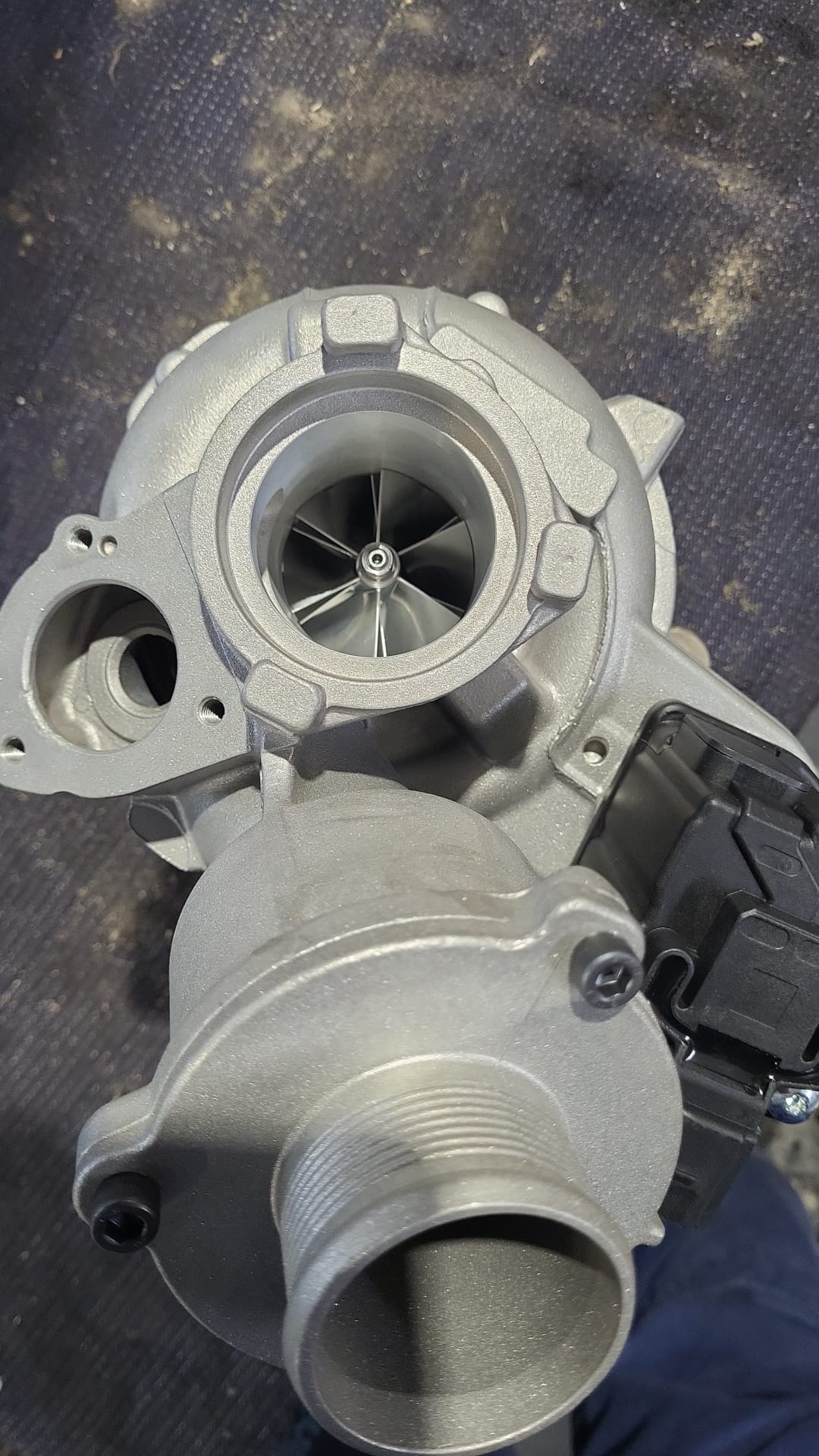 WhatsApp Image 2026-03-12 at 08.25.43.jpeg