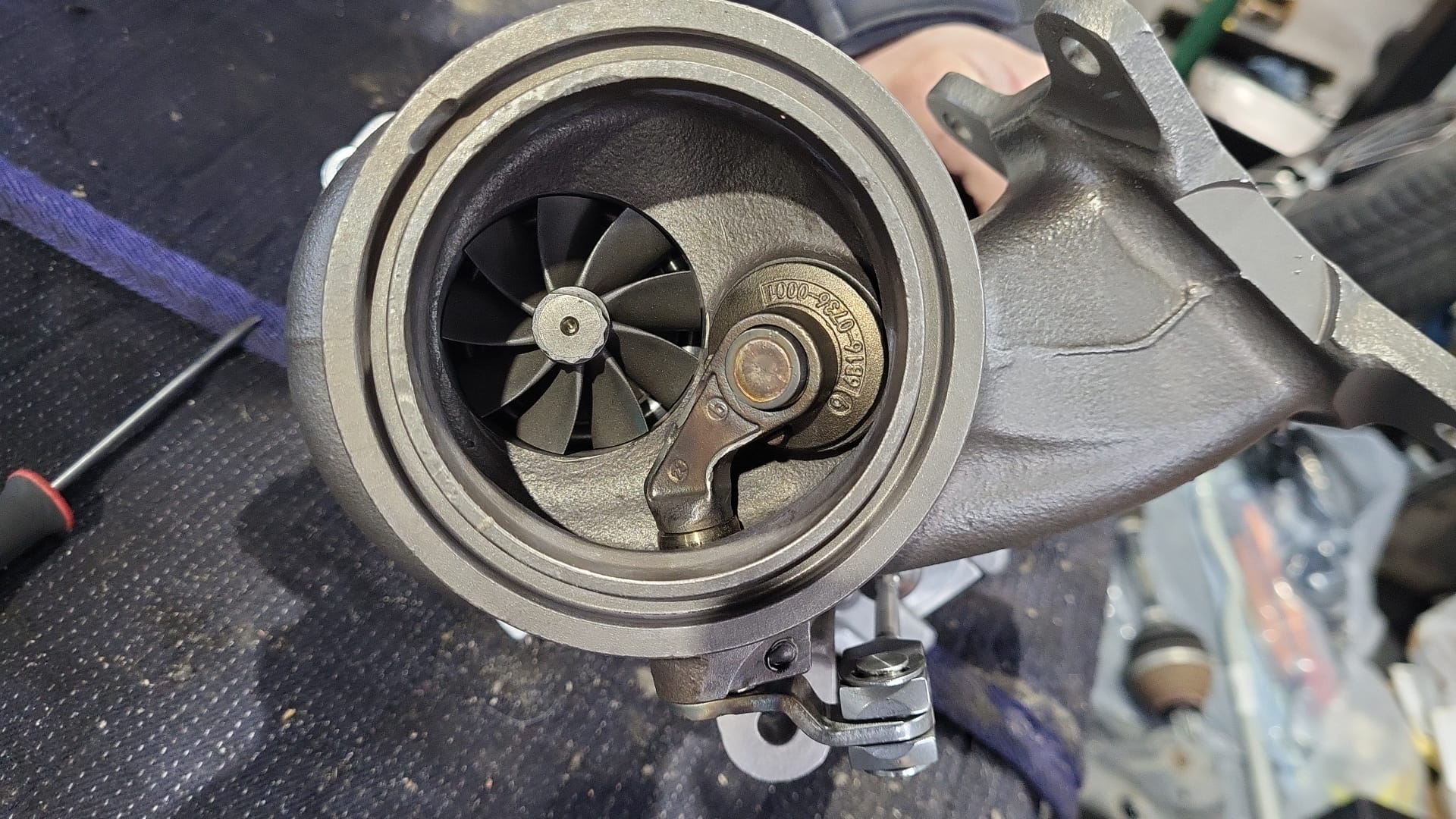 WhatsApp Image 2026-03-12 at 08.26.02.jpeg