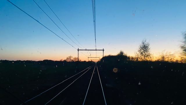 IMG_8008.jpeg