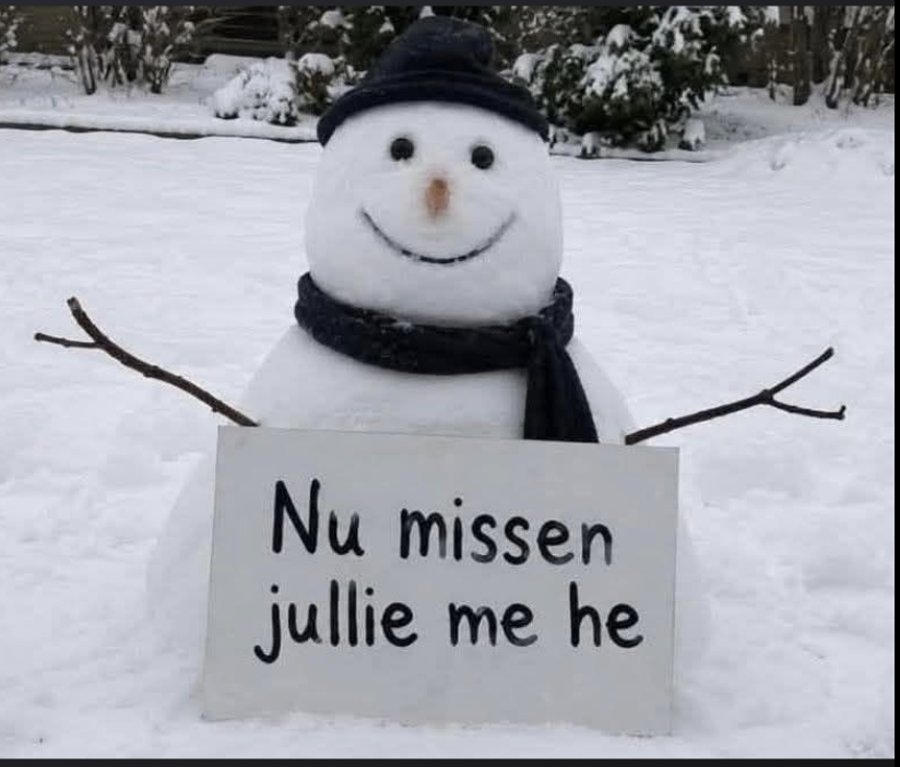 Scherm­afbeelding 2026-06-23 om 16.34.20.png