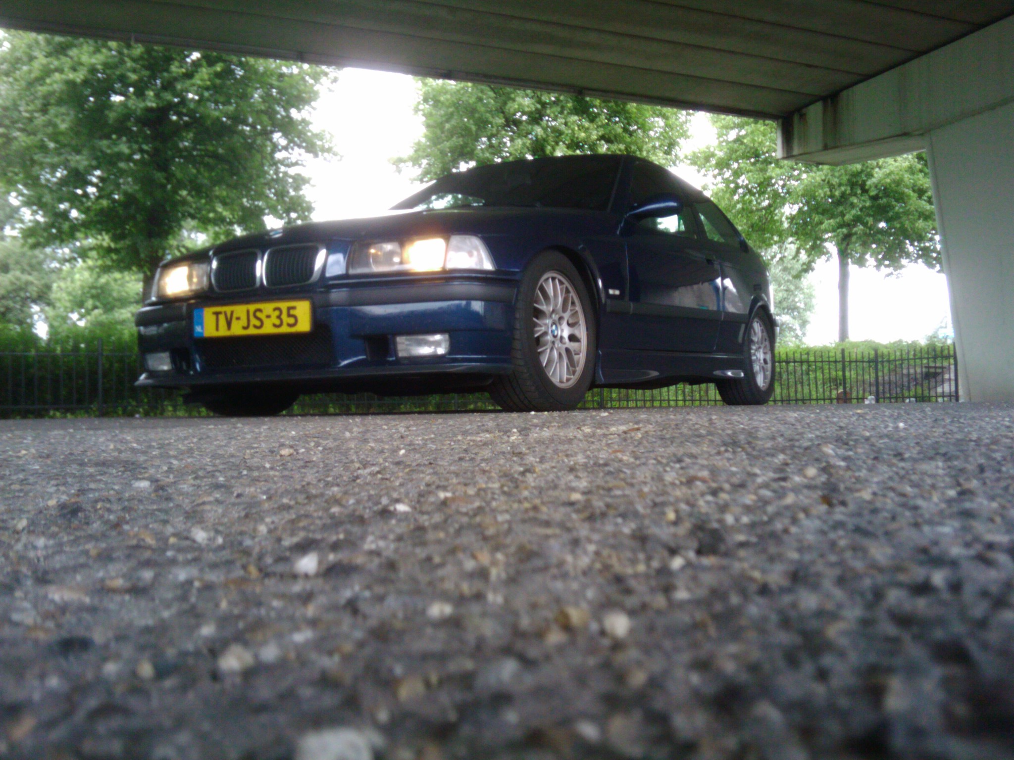 IMG_20110529_165523.jpg