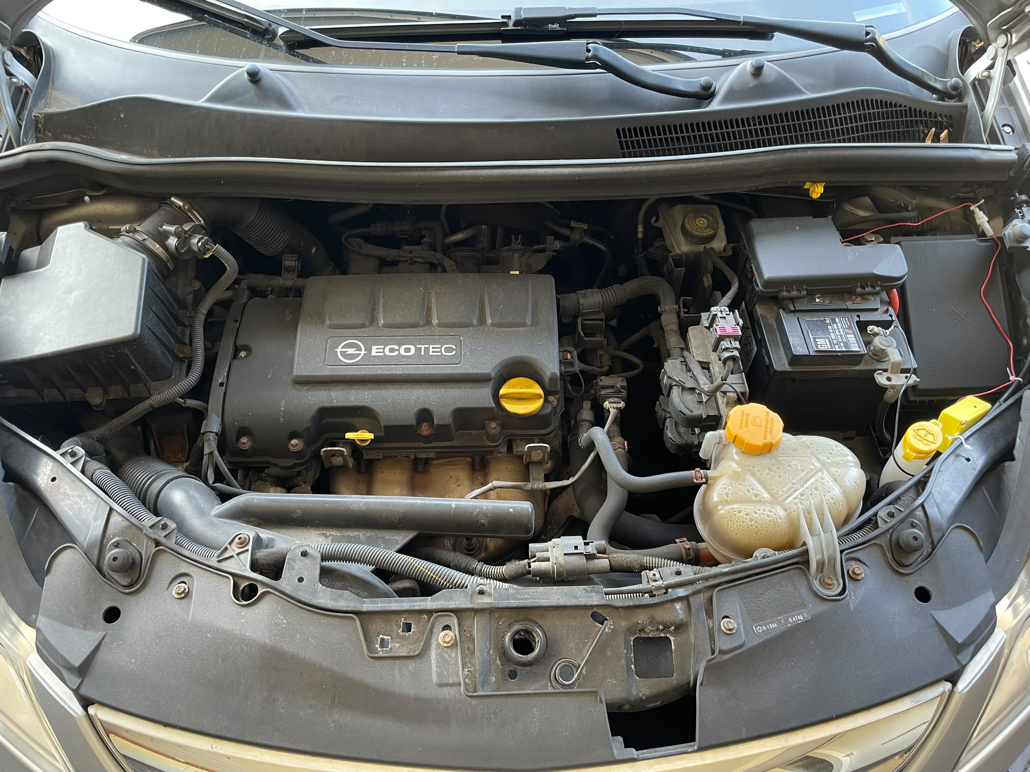 Corsa 5.jpeg