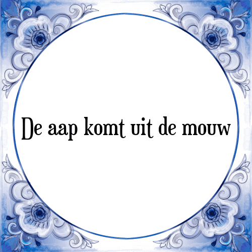 IMG_2598.png