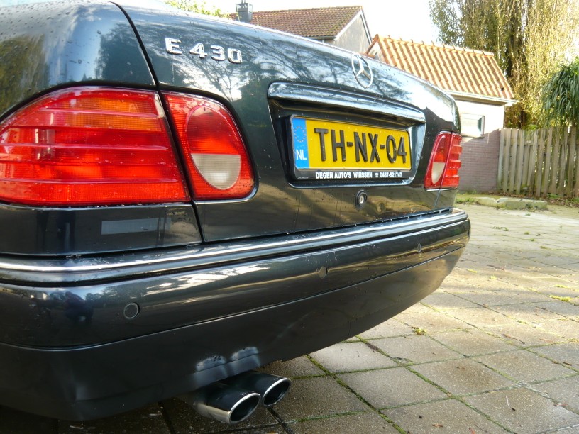 P1000802 (816 x 612).jpg