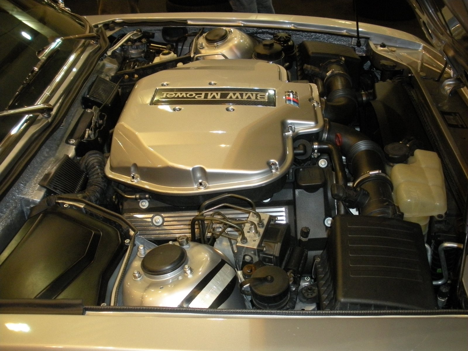 DSCN3012.JPG