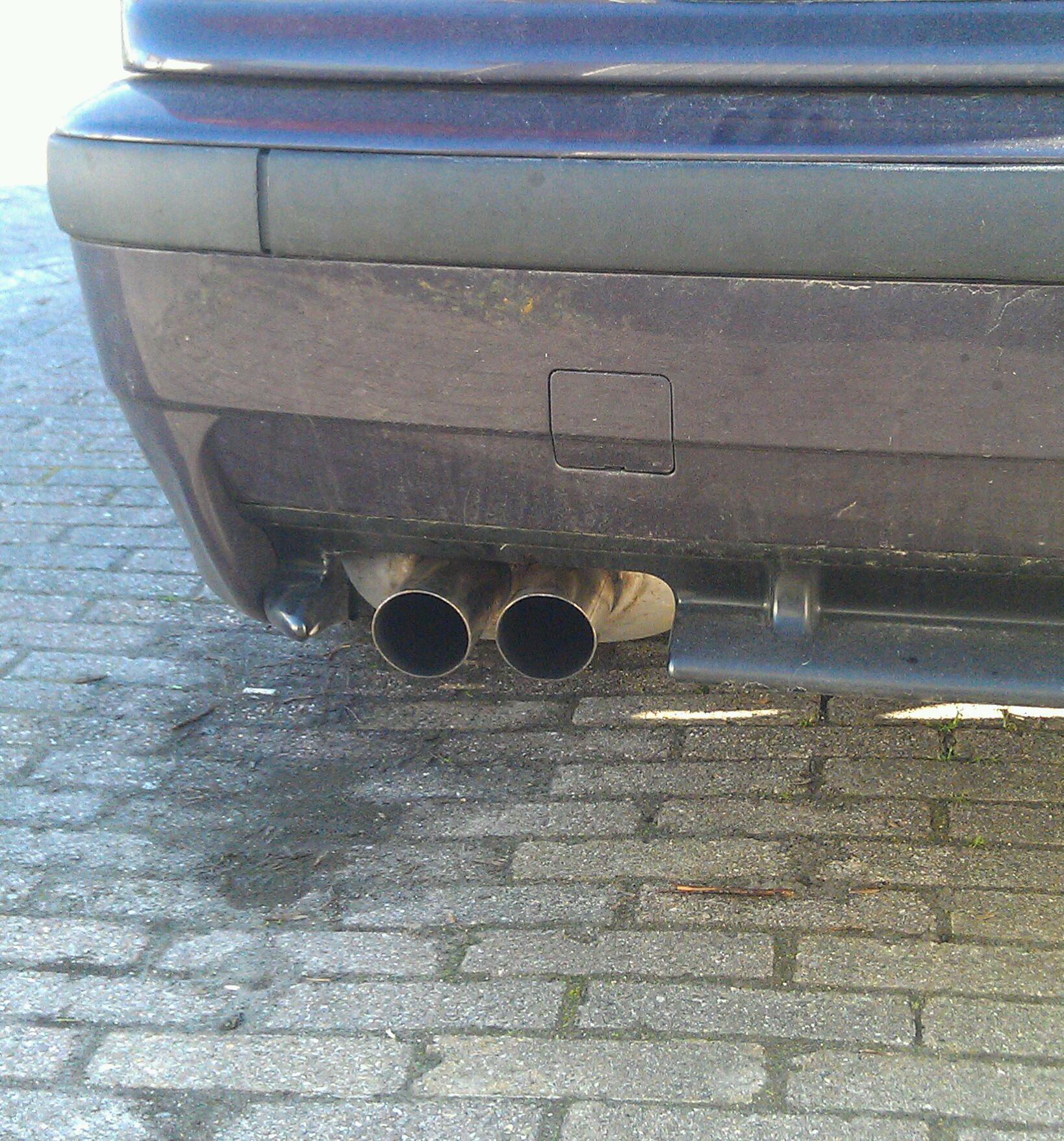 IMAG0505-1.jpg